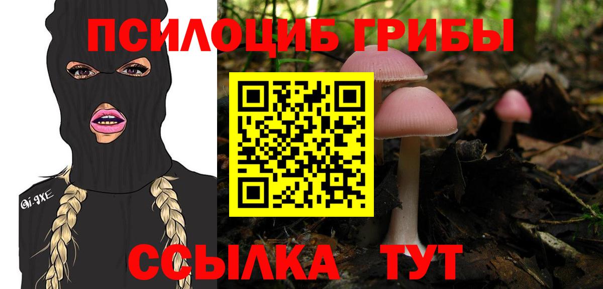 Галлюциногенные грибы Cubensis Десногорск