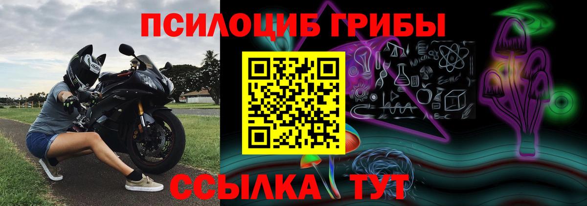 Десногорск  где найти   Вход с VPN  Псилоцибиновые грибы мицелий 